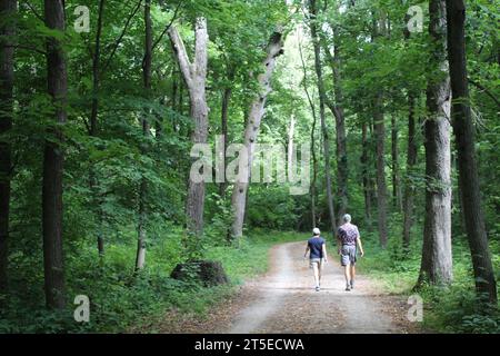 Ältere Ehepaare wandern auf dem des Plaines River Trail unter hohen Bäumen im Camp Ground Road Woods in des Plaines, Illinoi Stockfoto