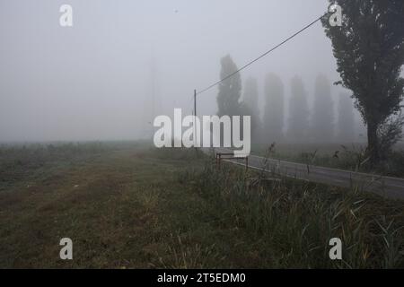 Enge Straße, die von ein paar Bäumen und Gräben mit Wehren an einem nebeligen Tag in der italienischen Landschaft begrenzt wird Stockfoto