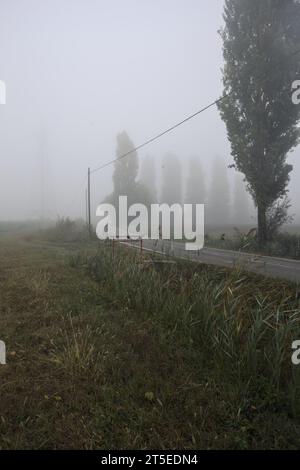 Enge Straße, die von ein paar Bäumen und Gräben mit Wehren an einem nebeligen Tag in der italienischen Landschaft begrenzt wird Stockfoto