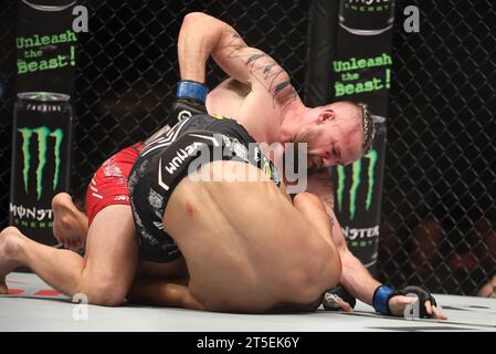 Sao Paulo, Brasilien. November 2023. Gabriel Bonfim (rot) und Nicolas Dalby (blau) während des Weltergewicht-Kampfes bei der UFC Fight Night in Ginásio do Ibirapuera, südlich von São Paulo, diesen Samstag, 4. November 2023 Credit: Brazil Photo Press/Alamy Live News Credit: Brazil Photo Press/Alamy Live News Stockfoto