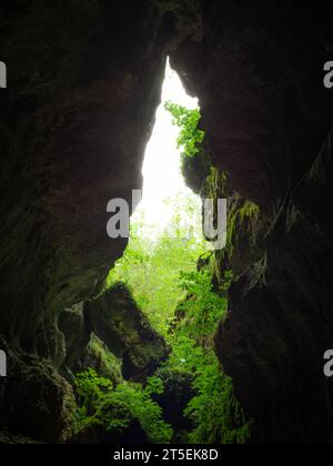 Idyllische Natur, die auf Felsspalten wächst. Zwischen den großen Steinen scheint traumhaftes Sonnenlicht. Eine natürliche Landschaft eines Waldes mit natürlichen Höhlen. Stockfoto