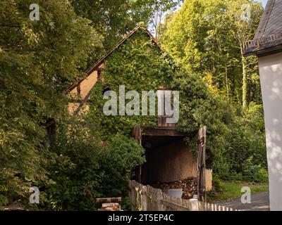 Fassadenbegrünung an einem alten Fachwerkgebäude. Haus in einer ländlichen Gegend mit vielen Kletterpflanzen auf der Außenseite. Die Architektur ist überwachsen. Stockfoto