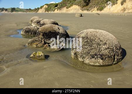 Halb begraben Moeraki Boulders am Hampden Beach an der Ostküste der Südinsel Neuseelands. Stockfoto