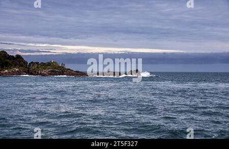 Ruhiger Tag am Eingang zum Milford Sound in der Tasmanischen See Stockfoto