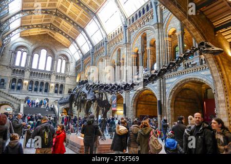 London, Vereinigtes Königreich - 15. Februar 2016: Haupthalle des London Nature History Museum mit Dinosaurierskelett Stockfoto