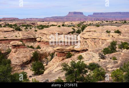 Spring Canyon entlang des Slickrock Trail im Needles District des canyonlands National Park in der Nähe von moab, utah Stockfoto