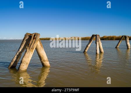 Hölzerne Anlegestellen für Boote im flachen Wasser des Neusiedler Sees. Stockfoto