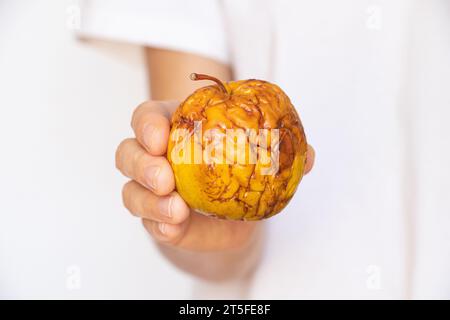 Die Hand einer Frau hält einen alten trockenen Apfel auf weißem Hintergrund, Nahrung und Diät Stockfoto