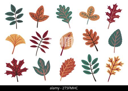 Herbstlaub. Nahaufnahme der Saison Blatt, gelb orange und grüne Lavenes, helle Herbstbäume. Ahorneichen- und Kastanienlaub. Kollektion mit dekorativen Elementen Stock Vektor