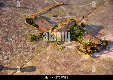 Details et gros Plan sur d'anciens Objects usuels - Details und Nahaufnahmen alter Alltagsgegenstände Stockfoto