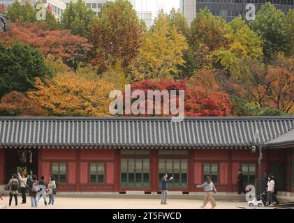 Seoul, Südkorea. November 2023. Besucher besuchen den Deoksugung Palace in Seoul, Südkorea, 5. November 2023. Quelle: Yao Qilin/Xinhua/Alamy Live News Stockfoto