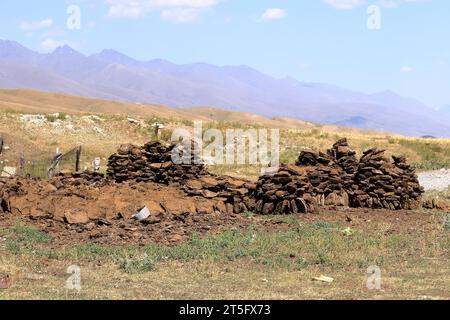 Ein großer Dunghaufen als Heizbrennstoff auf einer Pferdefarm in Kirgisistan in Zentralasien Stockfoto