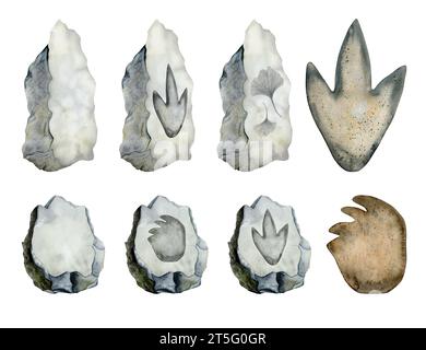 Dinosaurier-Fußabdrücke auf grauen Steinen Set von Aquarellillustrationen mit Pfoten von Diplodocus, Tyrannosaurus Fossil Stockfoto