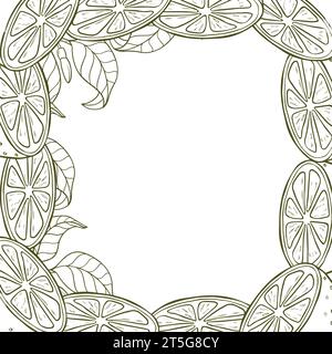 Eine Grenze aus Zitronenzweigen und Zitronenscheiben. Eine Komposition von Zitrusfrüchten im grafischen Stil. Vektorillustration auf weißem Hintergrund isoliert Stock Vektor