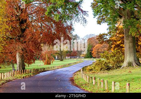 Dundee, Tayside, Schottland, Großbritannien. November 2023. Wetter in Großbritannien: Wunderschöne herbstliche Szenen im Dundee Camperdown Country Park in Schottland. Quelle: Dundee Photographics/Alamy Live News Stockfoto