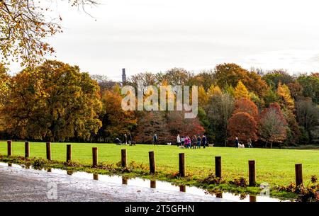 Dundee, Tayside, Schottland, Großbritannien. November 2023. Wetter in Großbritannien: Wunderschöne herbstliche Szenen im Dundee Camperdown Country Park in Schottland. Quelle: Dundee Photographics/Alamy Live News Stockfoto