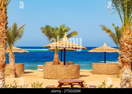 Sonniger Resort-Strand mit Palmen und Sonnenschirmen am Ufer des Roten Meeres. Safaga, Ägypten - 22. Oktober 2023. Stockfoto