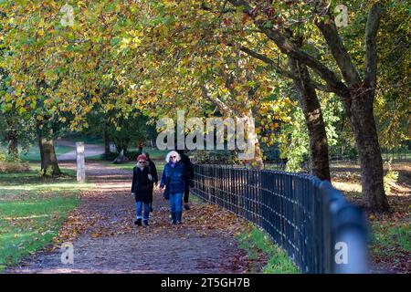 Iver, Buckinghamshire, Großbritannien. November 2023. Es war ein schöner, sonniger Tag im Langley Country Park in Wexham, Buckinghamshire, wo die Leute gerne durch den Park spazieren und radeln und die herbstlichen Farben genießen konnten. Quelle: Maureen McLean/Alamy Live News Stockfoto