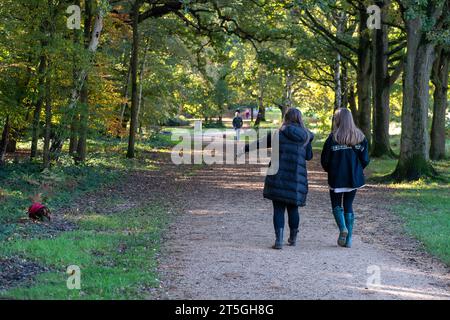 Iver, Buckinghamshire, Großbritannien. November 2023. Es war ein schöner, sonniger Tag im Langley Country Park in Wexham, Buckinghamshire, wo die Leute gerne durch den Park spazieren und radeln und die herbstlichen Farben genießen konnten. Quelle: Maureen McLean/Alamy Live News Stockfoto