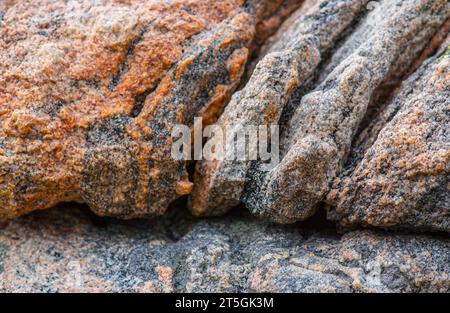 Graue und rosa Gneis metamorphes Gestein Stockfoto