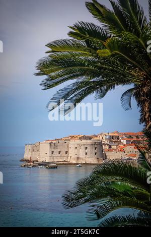 Dubrovnik, historisch bekannt als Ragusa, ist eine mittelalterliche Stadtmauer in Süddalmatien, Kroatien, an der Adria. Stockfoto