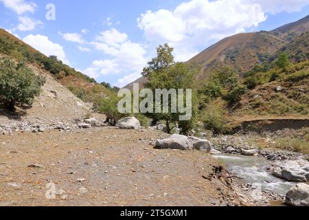 Die Landschaft am Fluss Urumbash in der Nähe des Kaldamanenpasses zwischen Arslanbob und Kasarman in Kirgisistan, Zentralasien Stockfoto