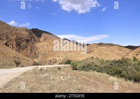 Die Landschaft am Fluss Kaldaman Pass zwischen Arslanbob und Kasarman in Kirgisistan, Zentralasien Stockfoto