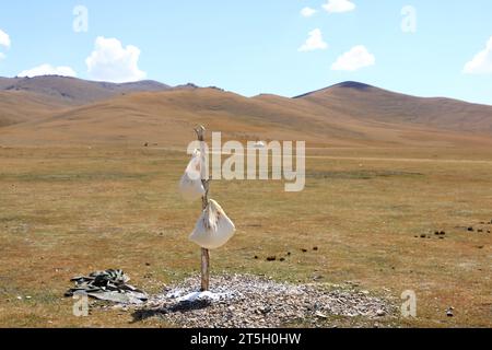 Die Entwässerung der Sauermilch in Kirgisistan in Zentralasien Stockfoto