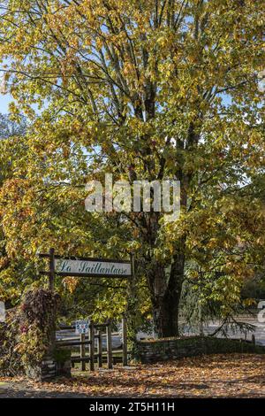 Bords de la Vézère en automne Stockfoto