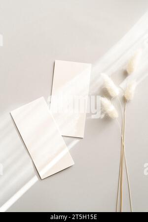 Flaches Lagen von zwei leeren Karten Blatt auf ästhetischem pastellgrauem Hintergrund mit Sonnenlicht und Schatten. Draufsicht. Formulare für Unternehmen, Werbung. Leerspac Stockfoto