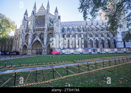 Royal British Legion, Field of Remembrance, Westminster Abbey, London Stockfoto