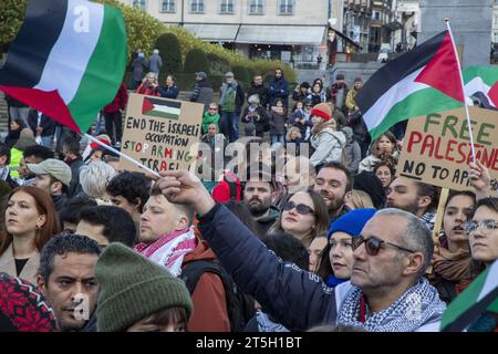 Brüssel, Belgien November 2023. Das Bild zeigt eine Demonstration zur Solidarität mit dem palästinensischen Volk am Sonntag, den 5. November 2023 in Brüssel, bei der ein sofortiger Waffenstillstand im Konflikt zwischen Israel und Hamas gefordert wird. BELGA FOTO NICOLAS MAETERLINCK Credit: Belga News Agency/Alamy Live News Stockfoto