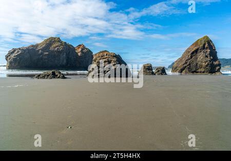 Ein Blick auf die Felsformationen am Meyers Creek Beach im Bundesstaat Oregon. Stockfoto