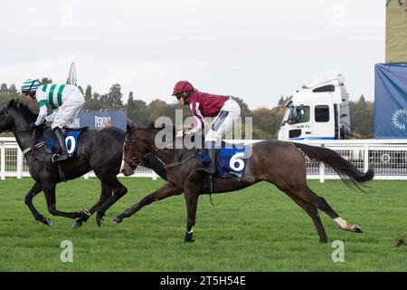 Ascot, Berkshire, Großbritannien. November 2023. Pferdeestacas, die von Jockey Lilly Pinchin im Grundon Waste Management Conditional Jockeys' Novices' Handicap Hürdenrennen auf der Ascot Racecourse am Fireworks Spectacular Family Raceday geritten wurden. Besitzer Konstruktives Pferd. Trainer David Bridgwater, Stow-on-the-Wold. Züchter Stiftung Gestut Fahrhof. Sponsor Feasibility Ltd Quelle: Maureen McLean/Alamy Live News Stockfoto