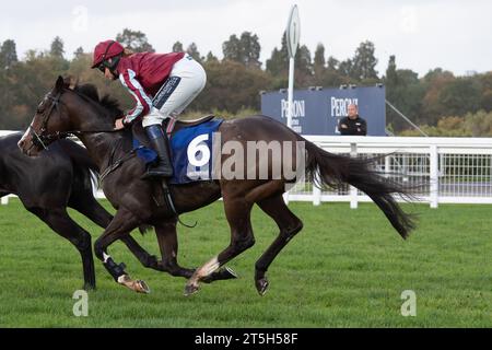 Ascot, Berkshire, Großbritannien. November 2023. Pferdeestacas, die von Jockey Lilly Pinchin im Grundon Waste Management Conditional Jockeys' Novices' Handicap Hürdenrennen auf der Ascot Racecourse am Fireworks Spectacular Family Raceday geritten wurden. Besitzer Konstruktives Pferd. Trainer David Bridgwater, Stow-on-the-Wold. Züchter Stiftung Gestut Fahrhof. Sponsor Feasibility Ltd Quelle: Maureen McLean/Alamy Live News Stockfoto