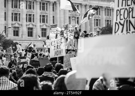 Washington, DC - 11-4-2023: Waffenstillstand jetzt unterzeichnen beim Pro-Palästina-Marsch Stockfoto