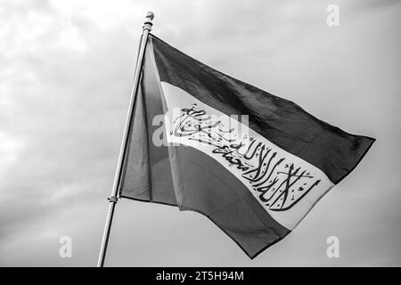 Washington, DC - 11-4-2023: Palästinensische Flagge beim Pro-Palästina-Marsch Stockfoto