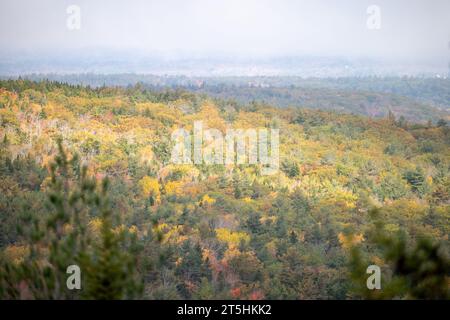 Wunderschöne Herbstfarben im Acadia-Nationalpark Maine Stockfoto