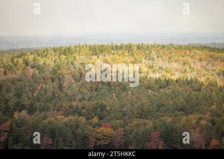 Wunderschöne Herbstfarben im Acadia-Nationalpark Maine Stockfoto