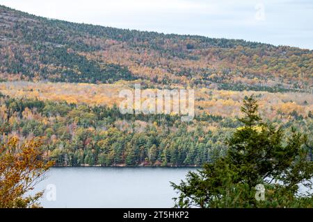Wunderschöne Herbstfarben im Acadia-Nationalpark Maine Stockfoto