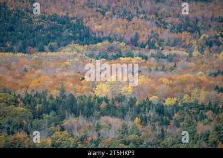 Wunderschöne Herbstfarben im Acadia-Nationalpark Maine Stockfoto