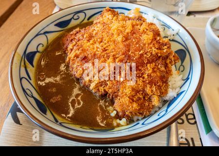 Nahaufnahme einer Schüssel mit japanischem Hühnchen-katsu-Curry, serviert mit Reis Stockfoto