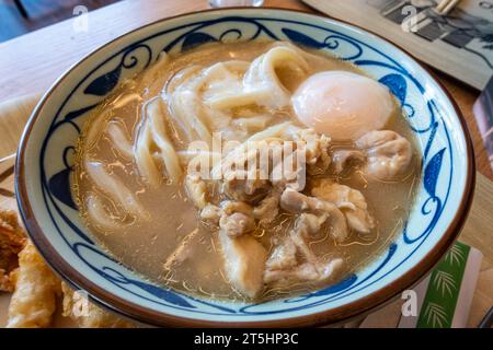 Hühnerpaitan, ein japanisches Gericht mit Udon-Nudeln und Hühnchen, serviert in einer Brühe. Stockfoto