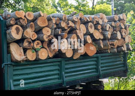 Kipper mit einer Leiche voller Brennholz. Lkw beladen mit Holzstämmen zur Lieferung für die Heizsaison. Brennholz für den Herd während der Stockfoto