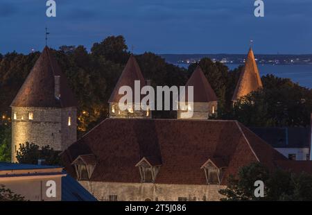 Point de Vue de Kohtuotsa - Tours et Remparts Stockfoto