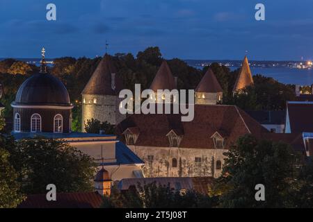 Point de Vue de Kohtuotsa - Tours et Remparts Stockfoto