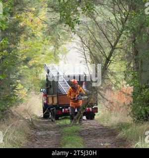 Ein Kettensägenfahrer, der einen gefallenen Baum aufräumt, der eine Spur im ländlichen Aberdeenshire blockiert Stockfoto