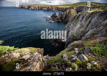 High East Coast Cliffs in Cable John Cove mit Blick auf den Atlantischen Ozean entlang der Bonavista Halbinsel in Neufundland und Labrador Kanada. Stockfoto