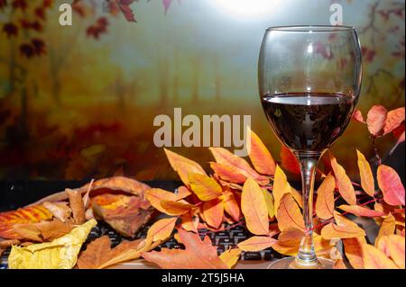 Gelbe und rote Herbstblätter, Rotwein im Glas. Stockfoto