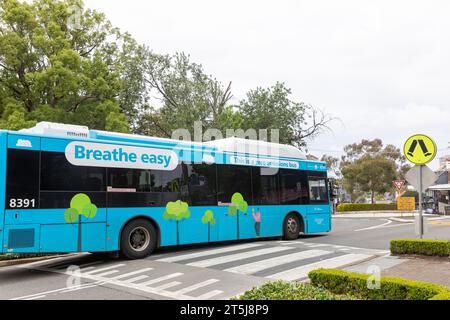 Balmain Sydney, emissionsfreier öffentlicher Verkehrsbus auf der Darling Street an einer Pelikanüberquerung, Sydney, NSW, Australien Stockfoto